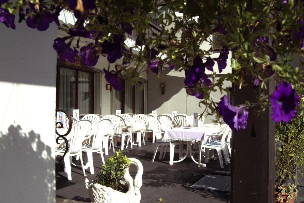 Hotel Traube سانكت غالنكرش المظهر الخارجي الصورة